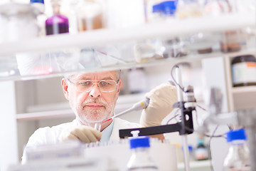 Image showing Life scientist researching in the laboratory.