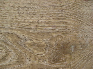 Image showing Tangential oak pattern