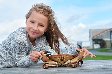 Image showing Alive Norwegian Brown crab