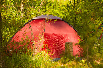 Image showing camping outdoor with  tent in woods in summer 