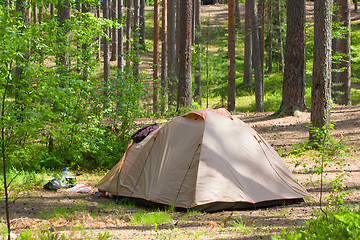 Image showing camping outdoor with  tent in woods in summer 