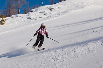 Image showing Skiing