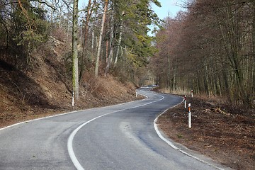 Image showing Autumn Road