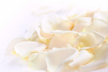 Image showing Rose petals