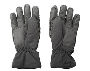 Image showing Gloves