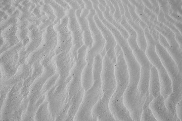 Image showing Beach with soft sand