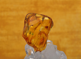 Image showing Amber on rock crystal