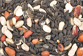 Image showing Bird seed 