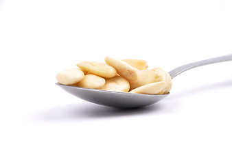 Image showing Blanched almonds on spoon