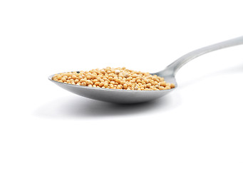 Image showing Mustard seeds on spoon