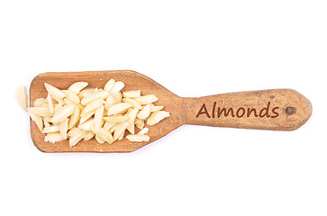 Image showing Almond slivers on shovel