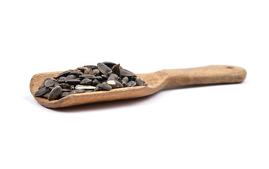 Image showing Bird seed on shovel