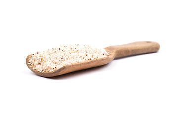 Image showing Hazelnuts powdered on shovel