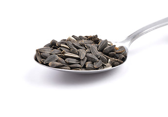 Image showing Bird seed on spoon