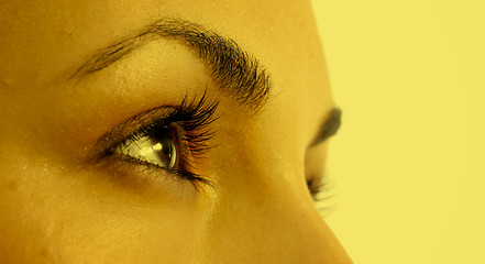 Image showing Brown eye