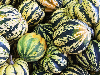Image showing Colorful Carnival squashes