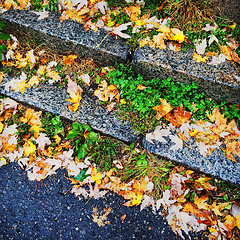 Image showing Colorful autumn leaves on stone steps