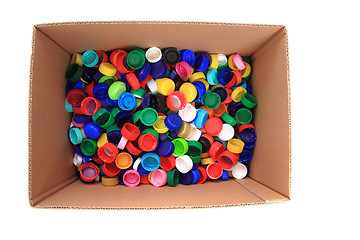 Image showing pet caps in the paper box 