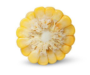 Image showing Piece of corn cob an end view