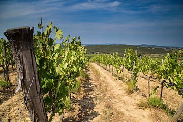 Image showing Hills of Tuscany