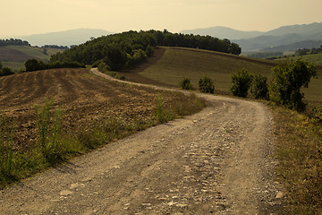 Image showing Tuscan Hills