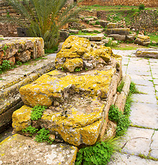 Image showing chellah  in morocco africa the old roman deteriorated monument a