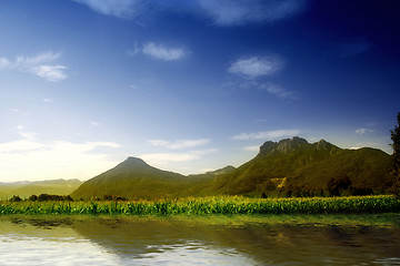 Image showing Green hill with blue sky. Summer landscape