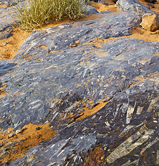 Image showing  old fossil in  the desert of morocco sahara and rock  stone sky