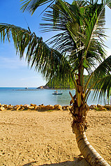 Image showing   asia     bay the  koh phangan  isle white   