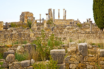 Image showing volubilis in morocco africa the  