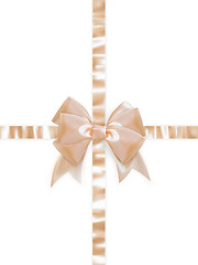Image showing Beautiful bow on white background. EPS 10