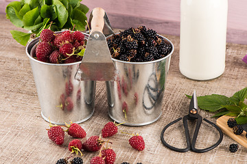 Image showing Metal buckets with fresh berries