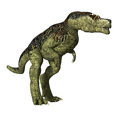 Image showing Tyrannosaurus Rex