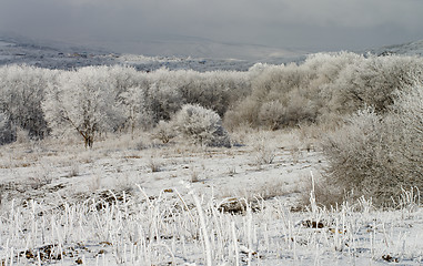 Image showing Winter Landscape