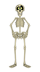 Image showing Skeleton