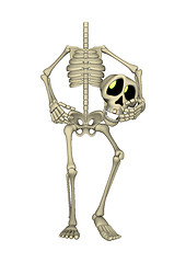 Image showing Skeleton