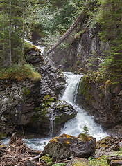 Image showing Waterfall in the forest