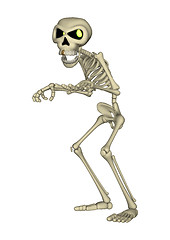 Image showing Skeleton