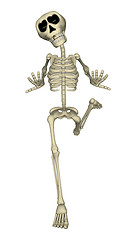 Image showing Skeleton