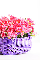 Image showing tulips