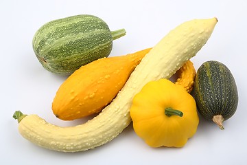 Image showing Squash  and zucchini