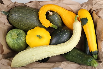 Image showing Squashes  and zucchini