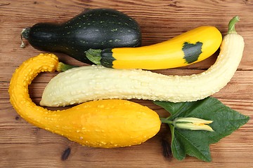 Image showing Squashes  and zucchini