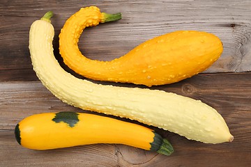 Image showing Squash  and zucchini