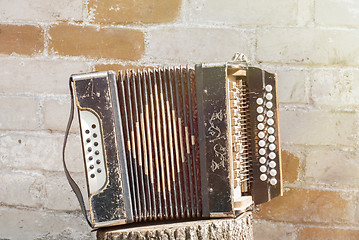 Image showing accordion on the stump