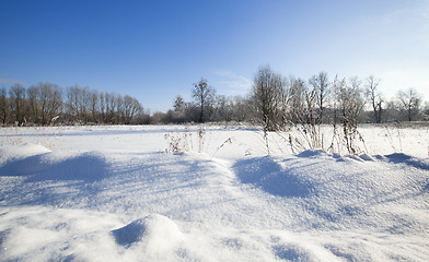 Image showing snow-covered field 