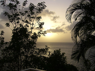 Image showing Tropical Sunset