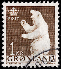 Image showing Polar Bear