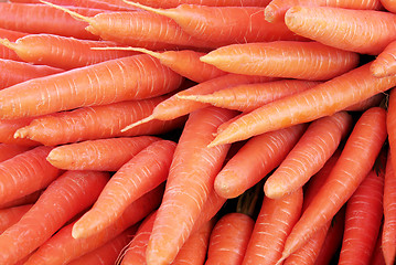 Image showing Fresh Carrot