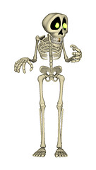 Image showing Skeleton